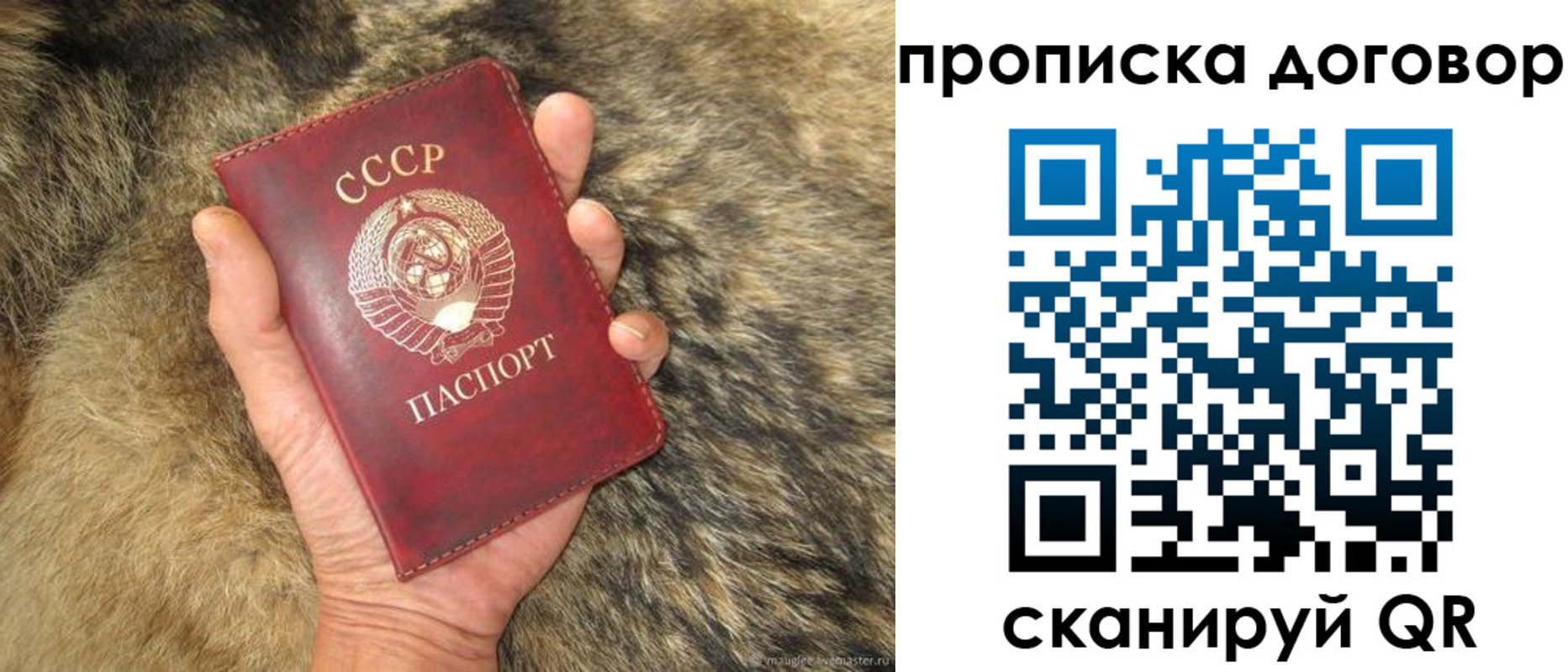 прописка регистрация в Волосово